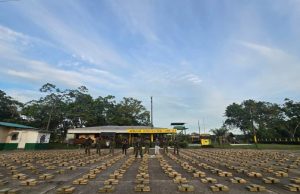 Incautan 2,24 toneladas de marihuana en frontera con Ecuador