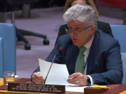 Inseguridad en regiones: ONU advierte desafíos para la paz en Colombia