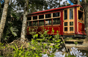 Preparan vagón del tranvía en el Museo del Transporte