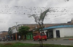 Masacre en Padilla, Cauca, deja cuatro muertos