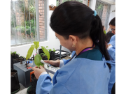 Microbios del suelo, clave para una agricultura frente al cambio climático