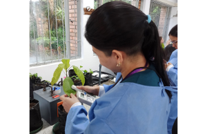 Microbios del suelo, clave para una agricultura frente al cambio climático