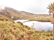 Municipios firman acuerdos para la protección del agua
