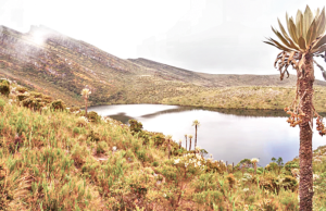 Municipios firman acuerdos para la protección del agua