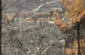 Olas de calor fueron los fenómenos climáticos más letales de 2025