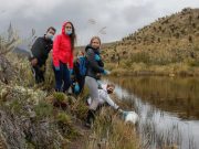 Revelan datos clave sobre de recuperación del río Bogotá