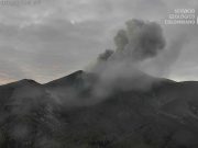 Volcán Puracé continúa en alerta naranja: once nuevas emisiones de ceniza