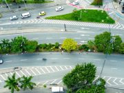 Sigue expansión de corredores verdes en Medellín; ya son más de 92.100 metros cuadrados de jardines urbanos