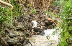 Priorizan trabajos en quebradas de Medellín para minimizar emergencias