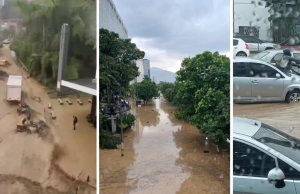 Caída de árbol dejó sin energía sectores de El Poblado en Medellín