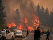 Argentina declara emergencia por incendios que azotan la Patagonia