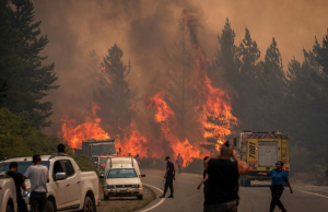 Argentina declara emergencia por incendios que azotan la Patagonia