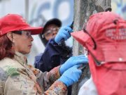 Identifican a ocho partidos políticos infractores de normas ambientales