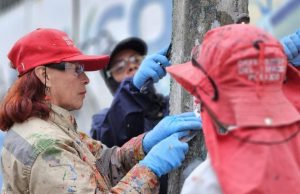 Identifican a ocho partidos políticos infractores de normas ambientales