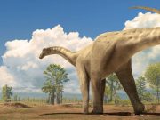 Descubren huevos de dinosaurio en España detenidos en el tiempo: eran de especies gigantes, de hace 72 millones de años