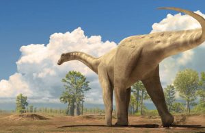 Descubren huevos de dinosaurio en España detenidos en el tiempo: eran de especies gigantes, de hace 72 millones de años