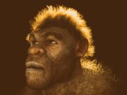 El rastro neandertal en los humanos modernos: científicos localizan la zona donde ocurrió el mestizaje