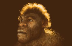 El rastro neandertal en los humanos modernos: científicos localizan la zona donde ocurrió el mestizaje