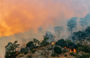 La inteligencia artificial y el cambio climático: ¿cómo unirlas en un bien común?