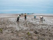 Mangrove Breakthrough impulsa la protección de 15 millones de hectáreas de manglares hacia 2030