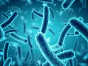 La ciencia recuerda por qué es importante cuidar a los microbios y su impacto en la vida de la Tierra