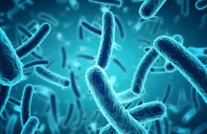 La ciencia recuerda por qué es importante cuidar a los microbios y su impacto en la vida de la Tierra