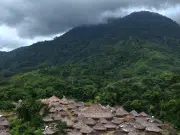 Gobierno reglamenta actividades que se pueden realizar en reservas forestales: se permitirá en estas áreas producción agrícola y mantenimiento de vías