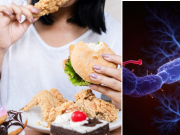Mayor consumo de alimentos ultraprocesados se vincula a un aumento de la mortalidad en supervivientes de cáncer: esto dice un estudio
