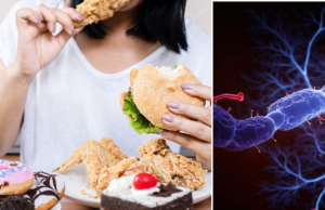 Mayor consumo de alimentos ultraprocesados se vincula a un aumento de la mortalidad en supervivientes de cáncer: esto dice un estudio