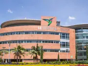 Hospital Infantil San Vicente Fundación reactiva programa de trasplante hepático pediátrico en el Día Mundial del Trasplante