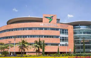 Hospital Infantil San Vicente Fundación reactiva programa de trasplante hepático pediátrico en el Día Mundial del Trasplante