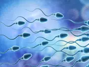 Identifican más de 40 químicos de uso cotidiano en el semen humano que afectan a su calidad