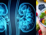 Tres alimentos que consume a diario y afectan sus riñones gravemente en silencio