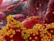 Estudio revela que medicamentos para reducir el colesterol no producen ni depresión ni demencia