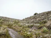 Los dos proyectos de Conservación internacional que bsucan la protección de los páramos, el agua y la alta montaña en Bogotá y Cundinamarca