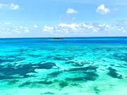 Colombia obtiene múltiples reconocimientos en los premios Travellers’ Choice – Lo Mejor de lo Mejor de Tripadvisor
