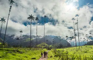 Quindío presentará en Anato 2026 su nueva campaña turística ‘No me creas, vívelo’