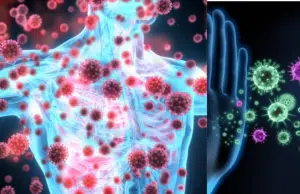 Universidad de Harvard descubre la molécula que regula la respuesta inmune frente a infecciones, cáncer y alergias: podría revolucionar tratamientos
