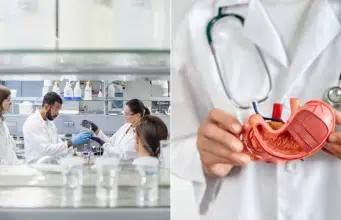 Estudio vincula al sistema nervioso con el inicio del cáncer de páncreas antes de la formación de tumores