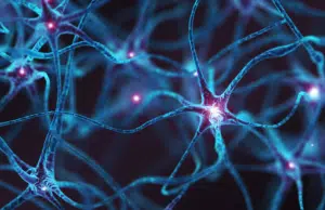 Estas son las neuronas ‘dormidas’ que se activan solas y están vinculadas al dolor neuropático crónico