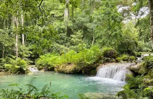 Estudio revela que deforestación en la Amazonía eleva la temperatura en 4° y reduce lluvias