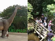 Bioparque Ukumarí registró cerca de 385.000 visitas: así se consolidó como uno de los principales referentes de turismo en Pereira y el Eje Cafetero