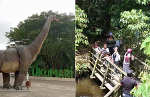 Bioparque Ukumarí registró cerca de 385.000 visitas: así se consolidó como uno de los principales referentes de turismo en Pereira y el Eje Cafetero