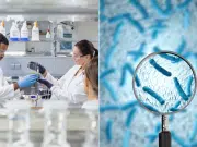 Bacterias de 5.000 años en cueva de hielo muestran resistencia a 10 antibióticos modernos: podrían transmitir genes de adaptación a microbios actuales