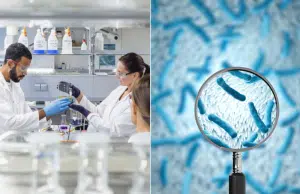 Bacterias de 5.000 años en cueva de hielo muestran resistencia a 10 antibióticos modernos: podrían transmitir genes de adaptación a microbios actuales