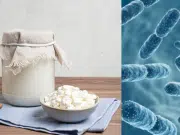 Alimentos fermentados que aportan más probióticos que el kéfir, según estudios