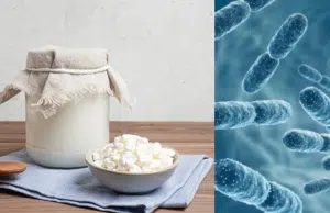 Alimentos fermentados que aportan más probióticos que el kéfir, según estudios