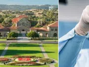El experimento de Stanford que podría cambiar la historia de las vacunas: prueban en ratones una fórmula nasal ‘universal’ contra varias enfermedades