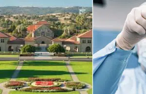 El experimento de Stanford que podría cambiar la historia de las vacunas: prueban en ratones una fórmula nasal ‘universal’ contra varias enfermedades
