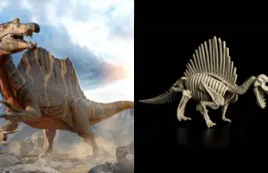 Descubren en el Sáhara nueva especie de Spinosaurus, uno de los dinosaurios más grandes de la Tierra: el hallazgo cuestiona su supuesto hábitat marino